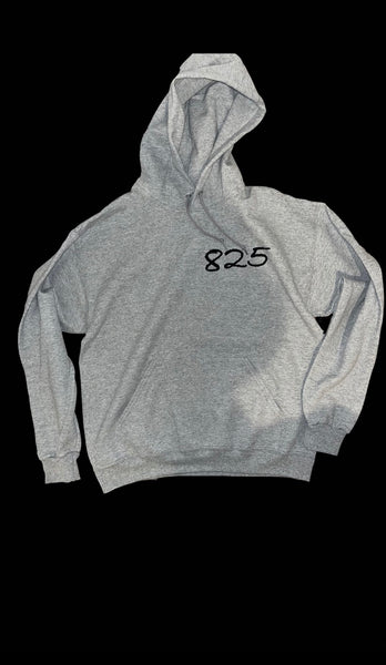 evolution hoodie